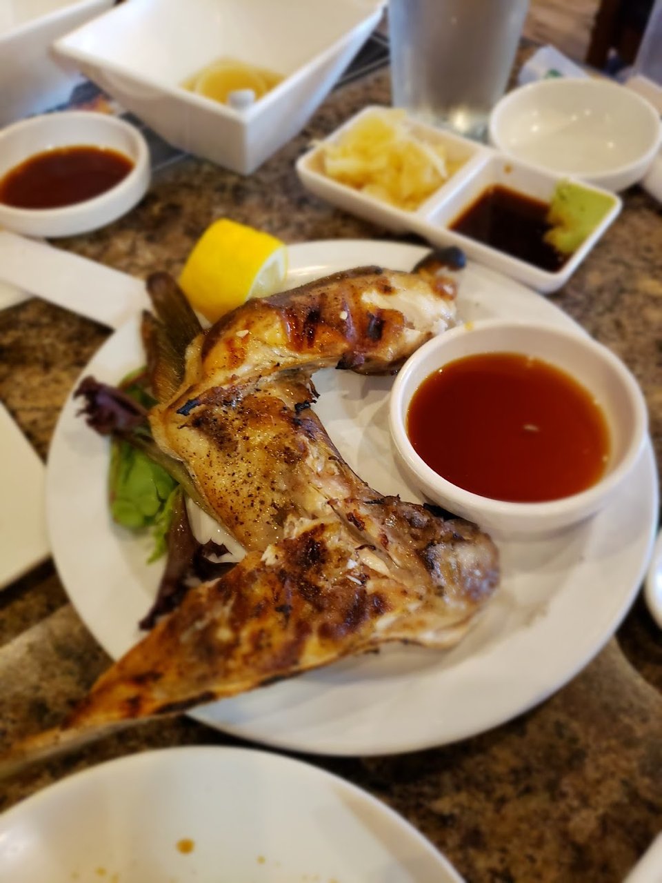 Yellowtail or Salmon Collar